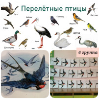 6 группа 6 группа.